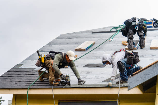Professional Flat Roof Repair technician working in Groveland, ID